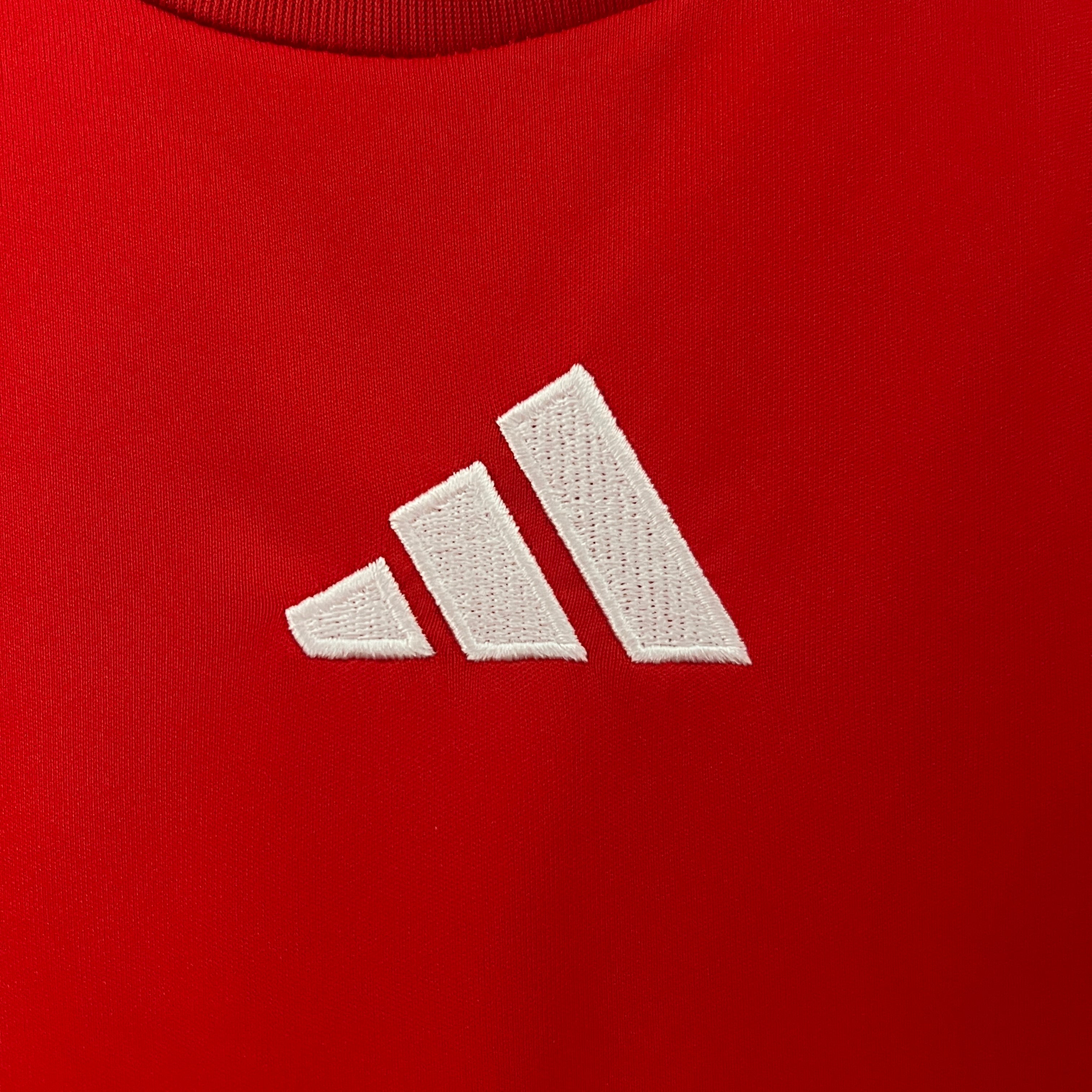 Maillot Hongrie Domicile 2024 2025