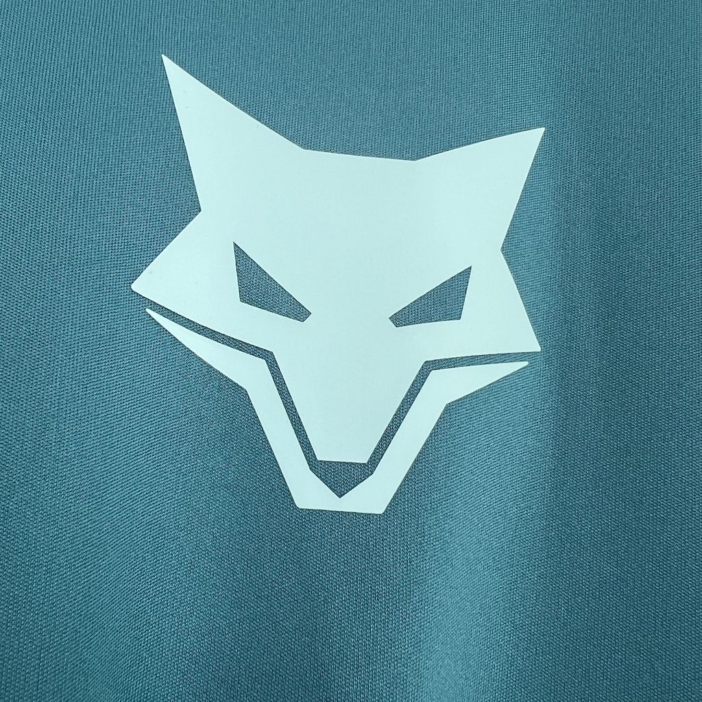 Maillot d'entraînement Cruzeiro 24/25